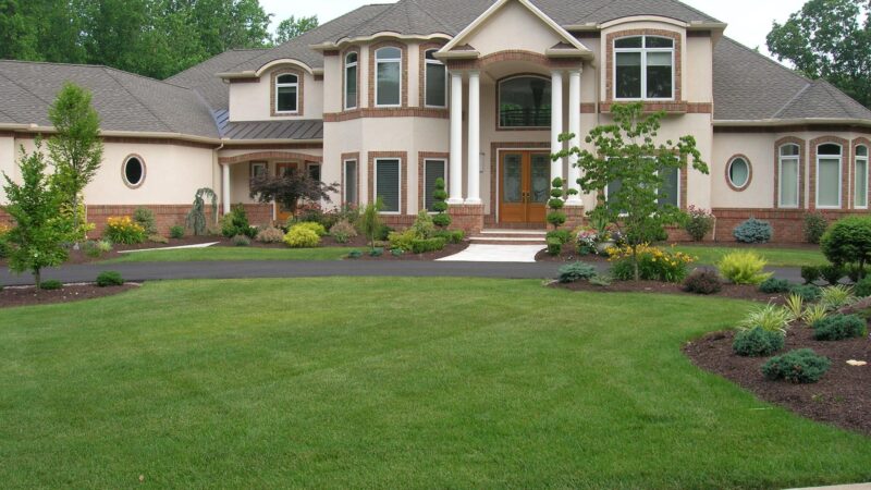 Lawn and Landscaping Services