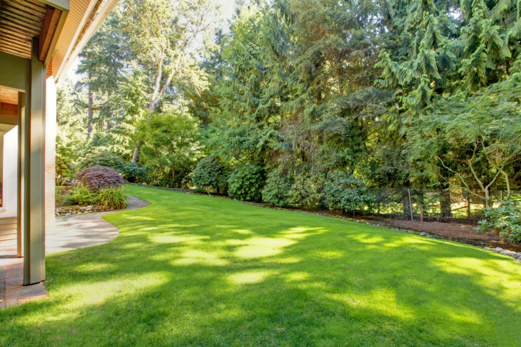 Understanding Lawn Health