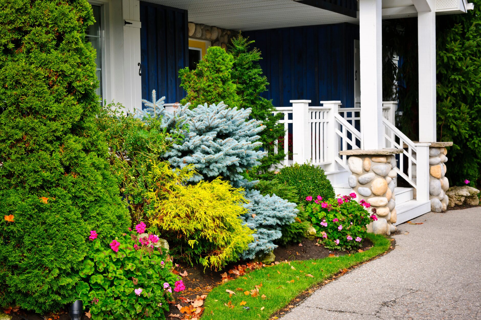 Read more about the article Top 5 Landscaping Trends to Transform Your Yard This Year