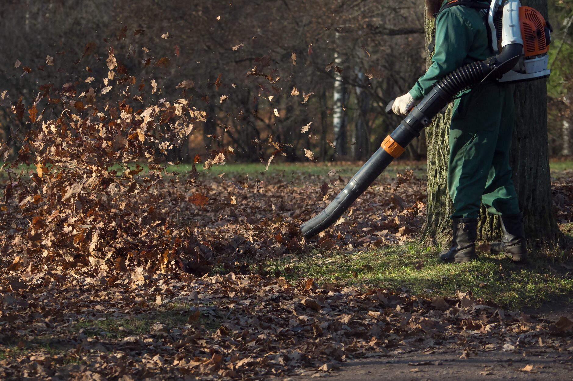 A person using a leaf blower to clean up fallen leaves, preparing the lawn for the colder months. Lawn Care Bucks County