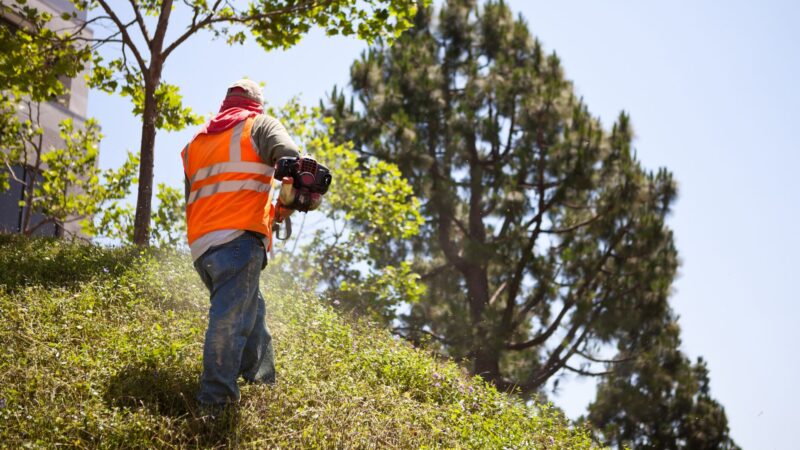 A professional using a weed whacker on a hillside, maintaining the landscape year-round. Lawn Care Bucks County