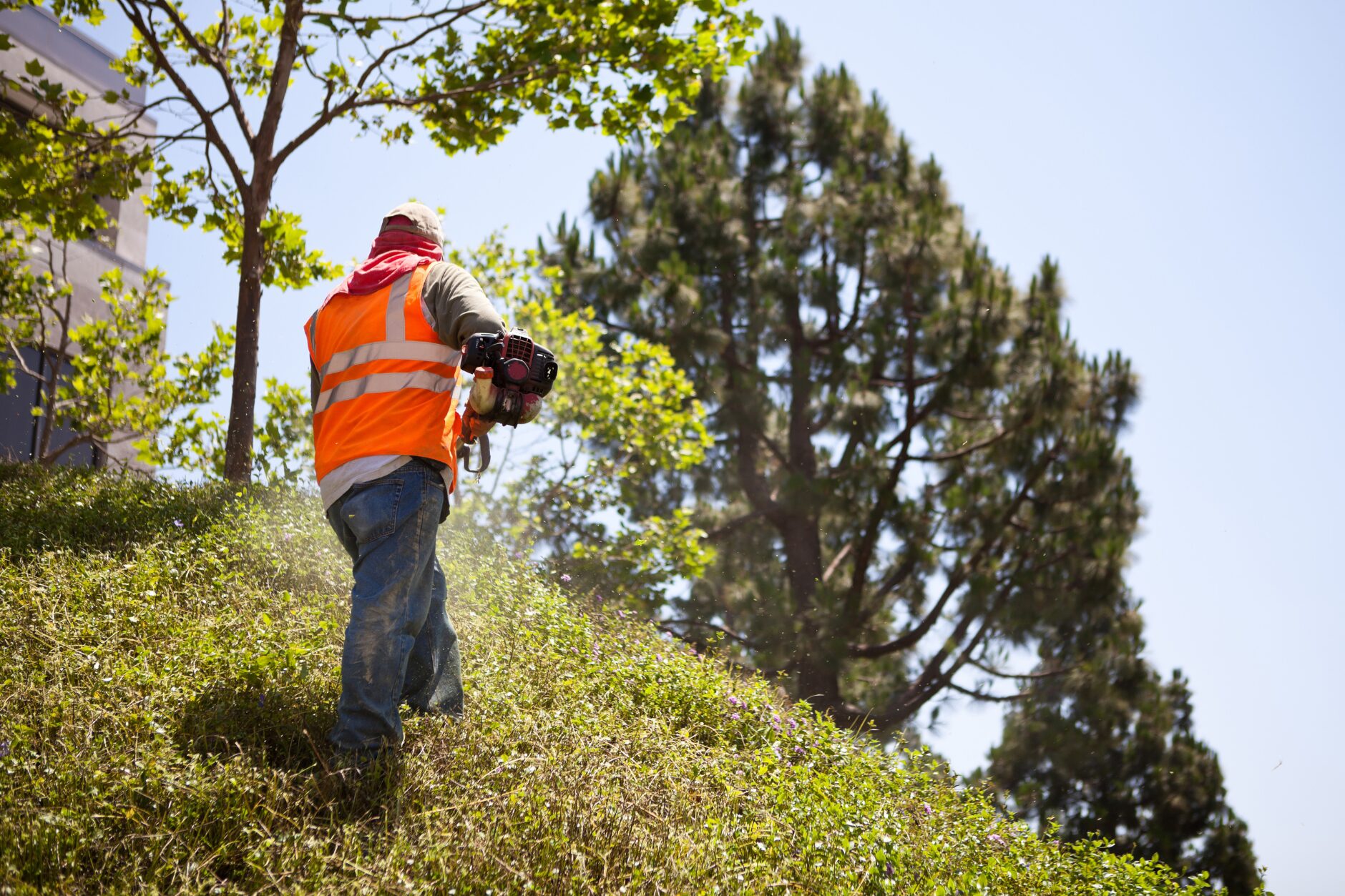 A professional using a weed whacker on a hillside, maintaining the landscape year-round. Lawn Care Bucks County